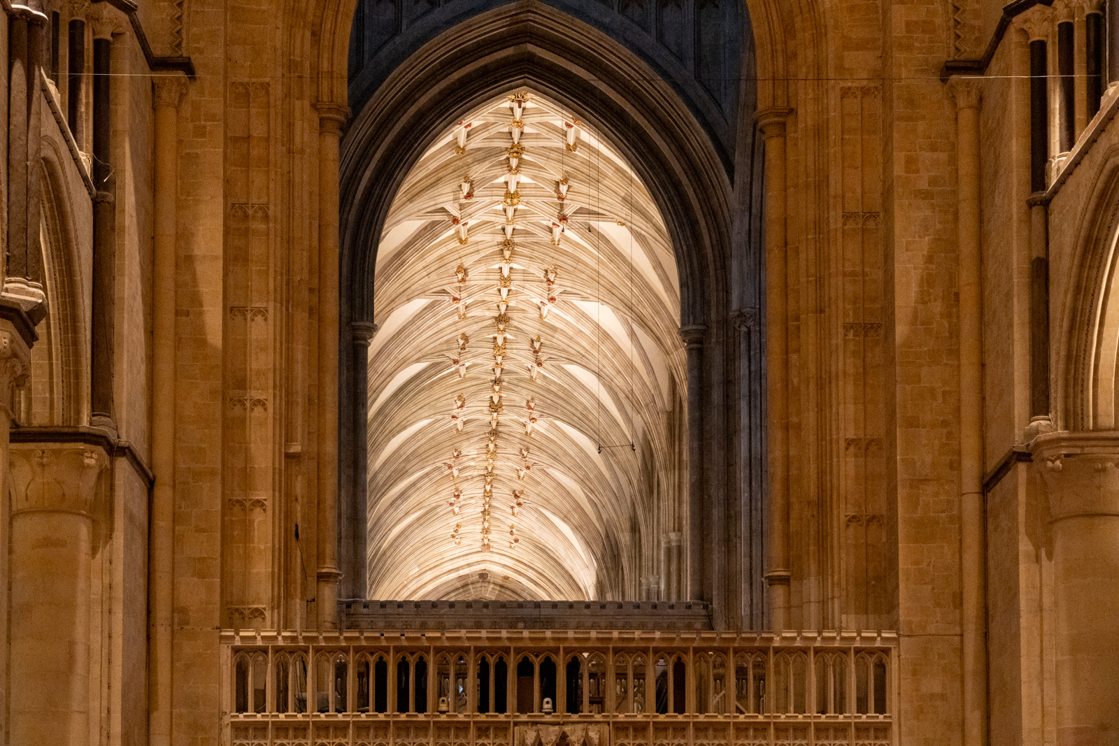Photography by Chris Allington